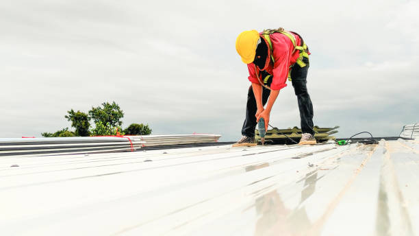 Best Emergency Roof Repair Services  in Toledo, OH