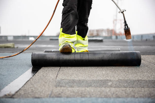Best Steel Roofing  in Toledo, OH